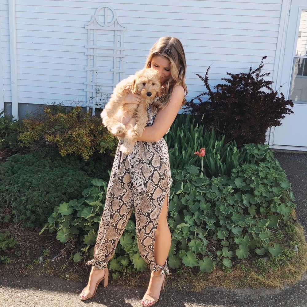 Lulus Jumpsuit